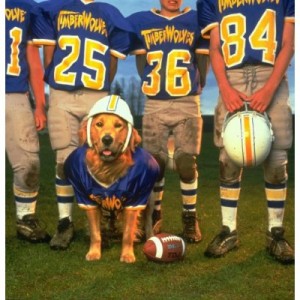 Air Bud Golden Reciever