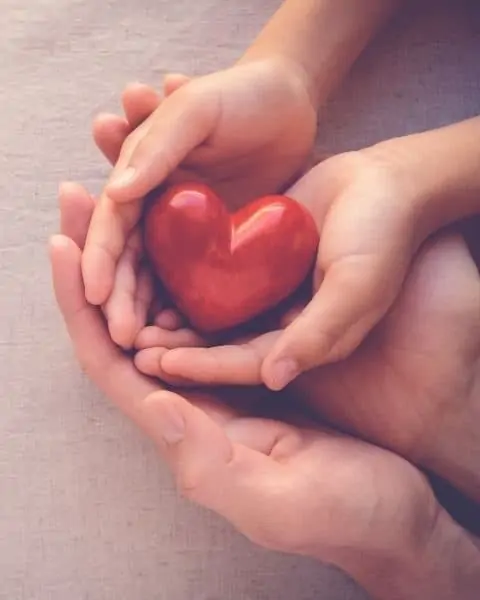 A small child holding a red heart in their hands which are resting in their parents hands.