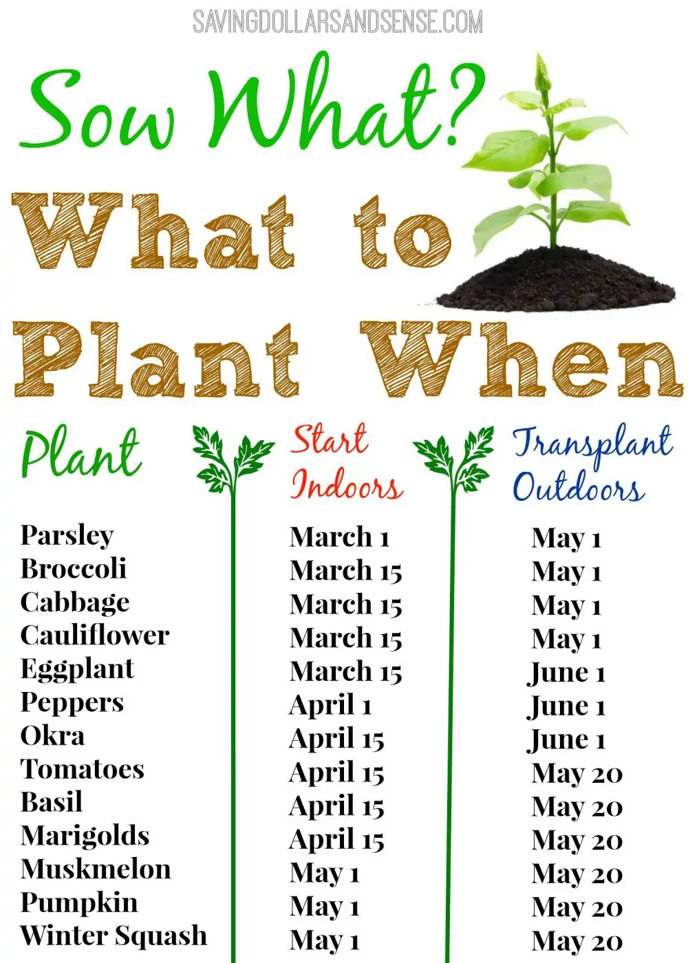 What to plant and when. A monthly overview for successful gardening.