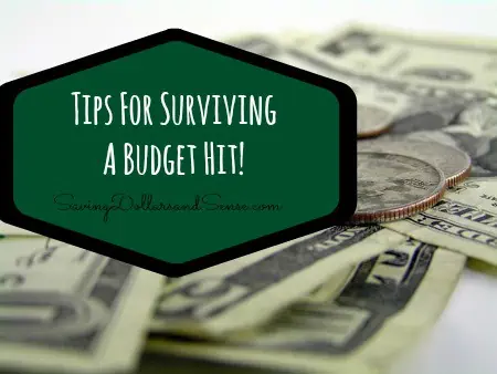 Surviving a Budget Hit
