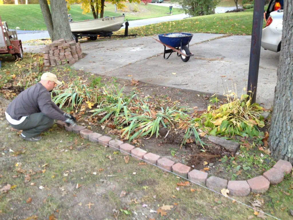 A person working on the plants in the garden.