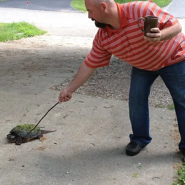 A man is poking the turtle with a stick.