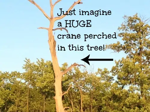 A giant crane in a big tree.