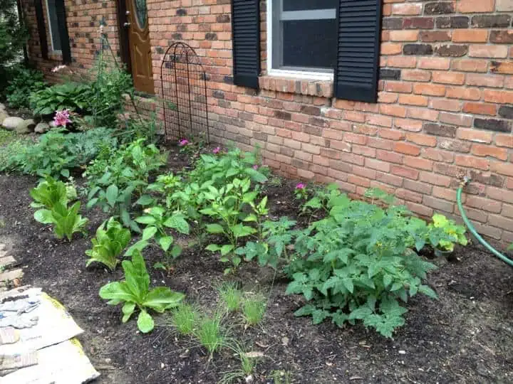 A large brick building with a green plant in a garden