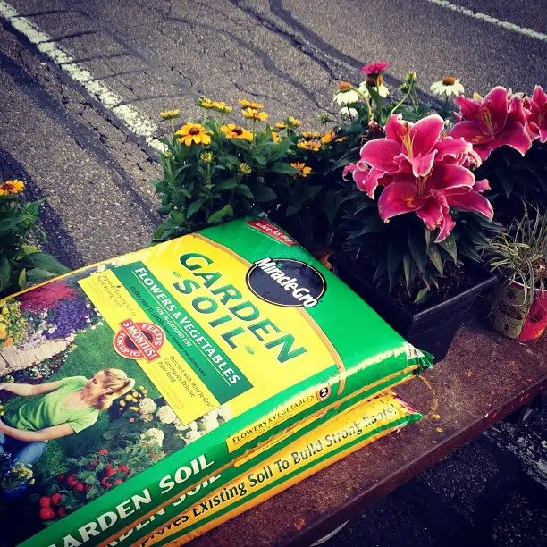 A close up of a flower and several bags of fertilizer. 