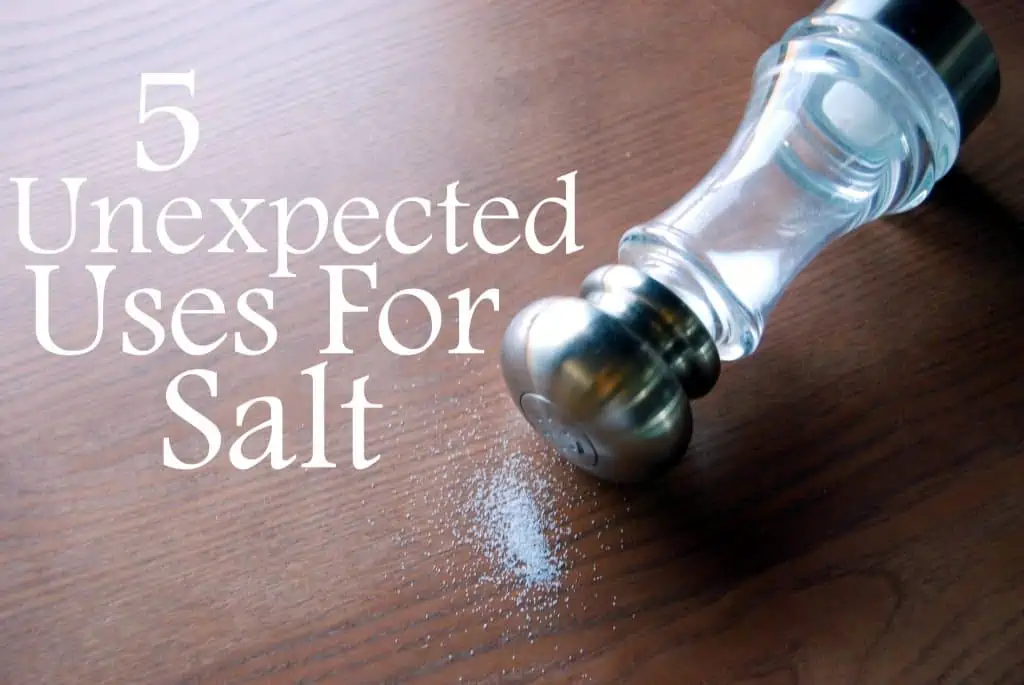 unexpected uses for salt