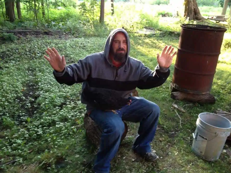 A man sitting on a bench surrounded by chickens.