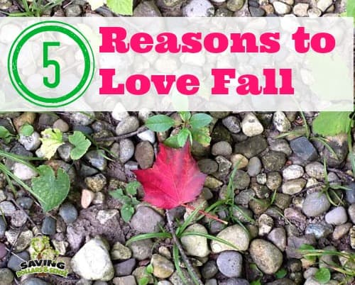 reasons to love fall