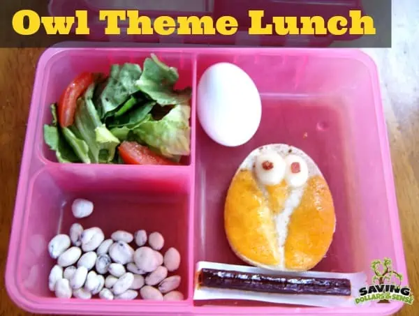 Owl Theme Lunch