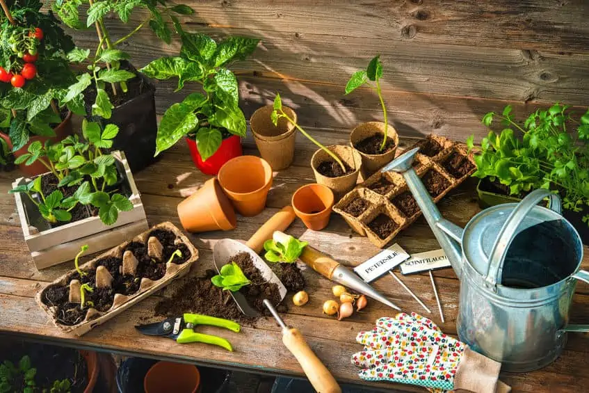 An assembly of gardening supplies, including tools, plants, and dirt.