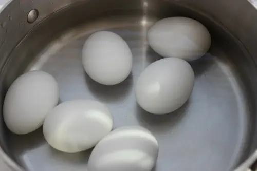 Eggs in pot of water.