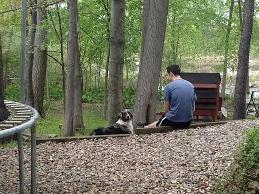 A boy and a dog sitting on a bench next to a forest
