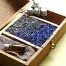 Essential Oils 101: Everything You Need to Know