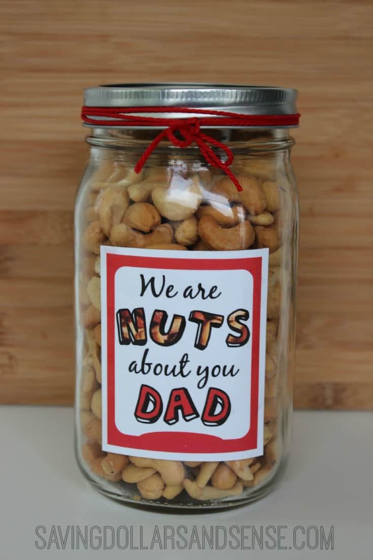 Download Nuts About Dad Father's Day Gift - Saving Dollars and Sense