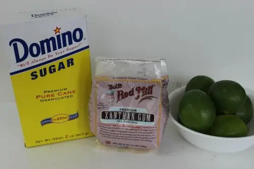 Homemade Lime Sorbet Recipe