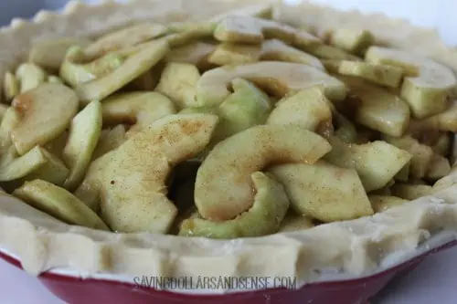 A close up of sliced apples and cinnamon in pie.