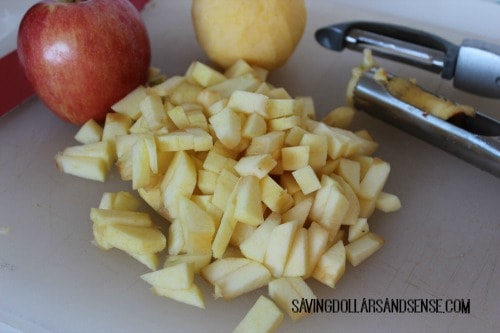 Peel, core, and cut pieces of apple into chunks.