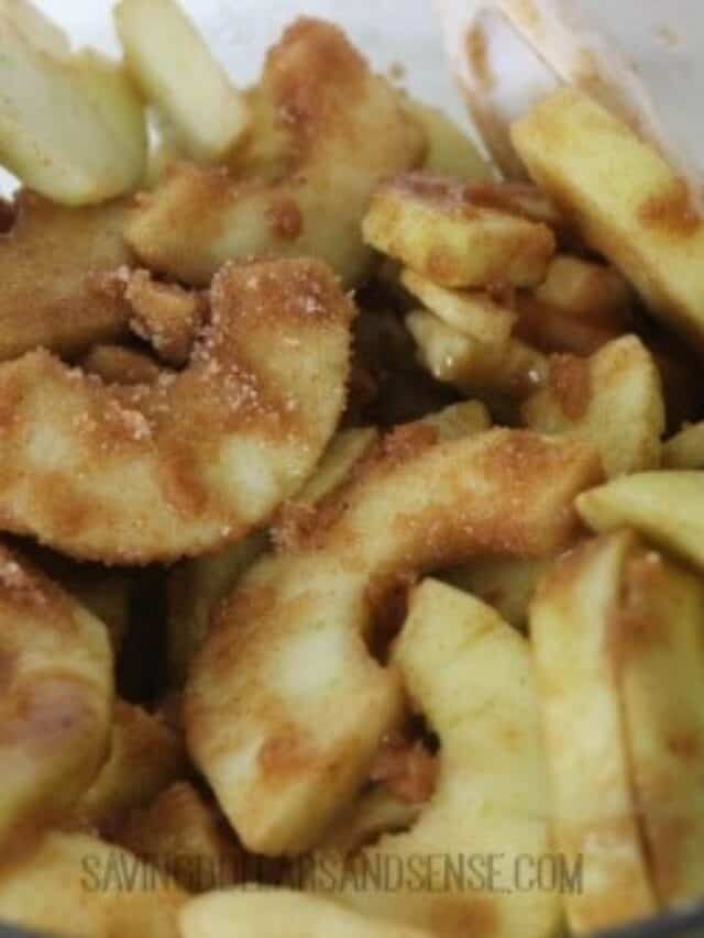 Traditional Dutch Apple Pie Recipe Story Saving Dollars & Sense