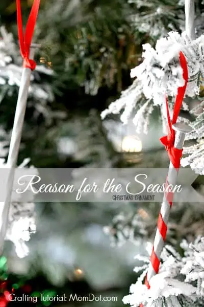 A close up of a Christmas tree with an ornament.