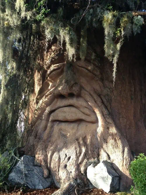 A face engraved into a tree. Give Kids the World Changes Lives