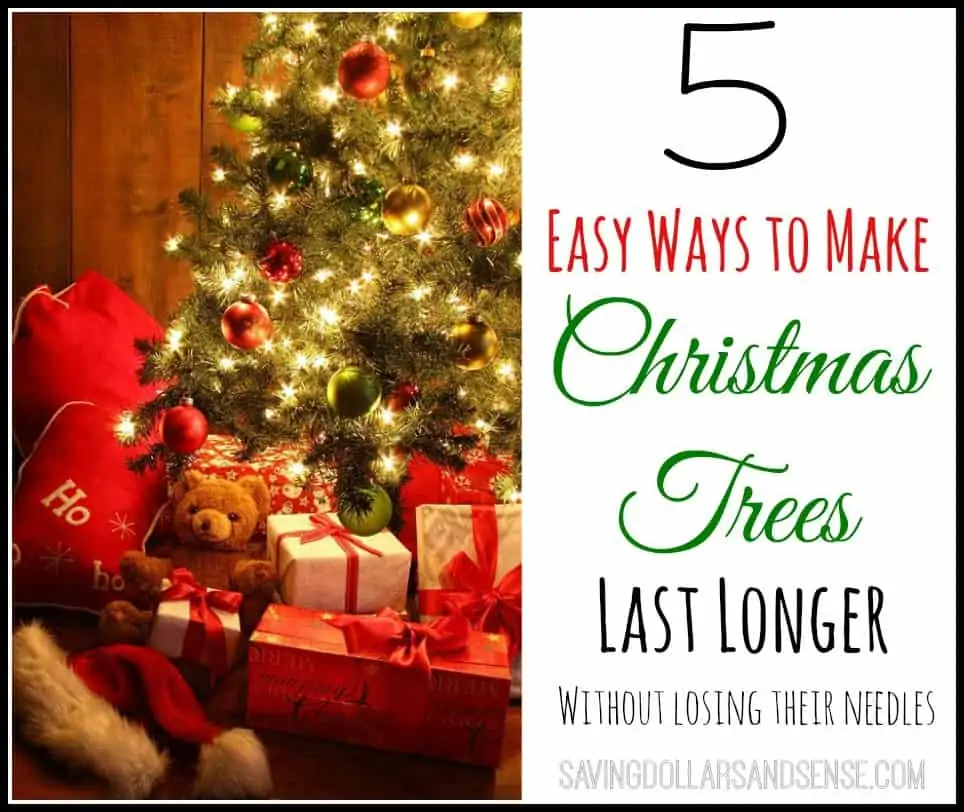 5 Ways to Make Christmas Tree Last Longer