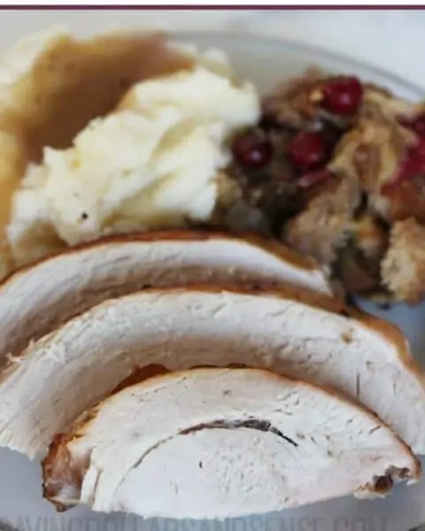 A plate full of Thanksgiving food, including turkey, cranberries, mashed potatoes, and gravy.