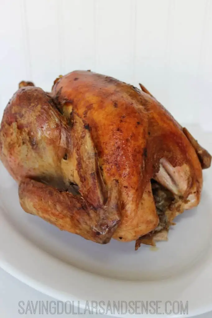 roasted turkey