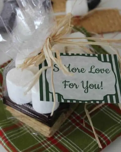 S'More love for you printable gift tags.