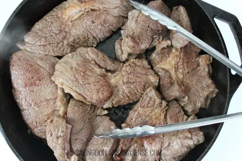 Barbacoa Beef