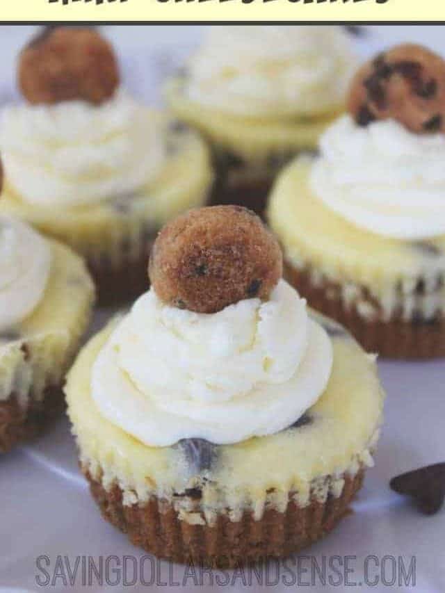 Chocolate Chip Cookie Mini Cheesecakes