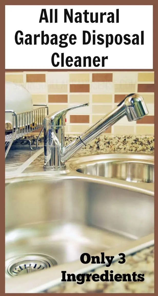 How to Clean Garbage Disposal (DIY)