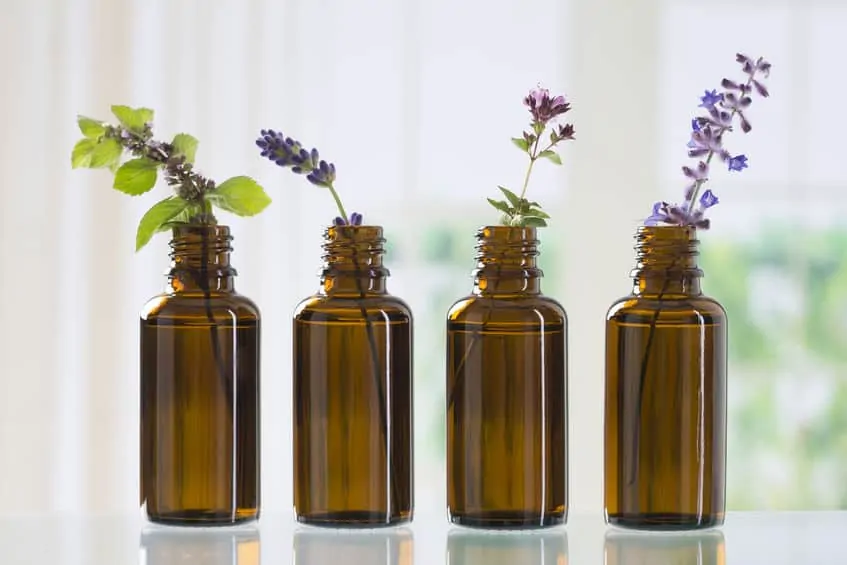 How to Save Money On Essential Oils. Natural Air Freshener Recipe