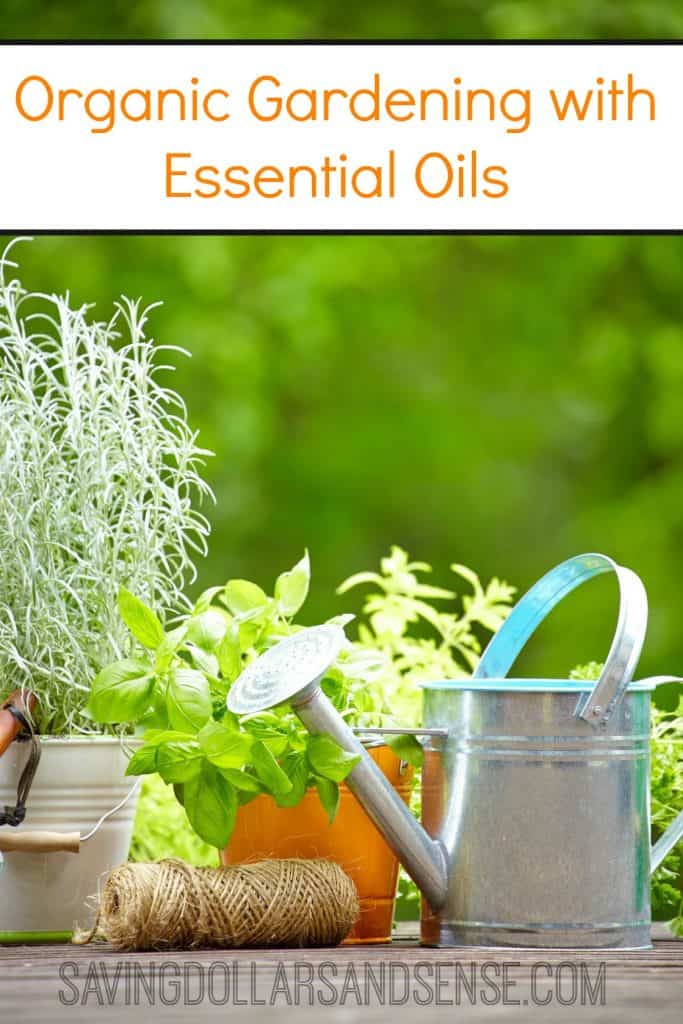 Organic Gardening With Essential Oils