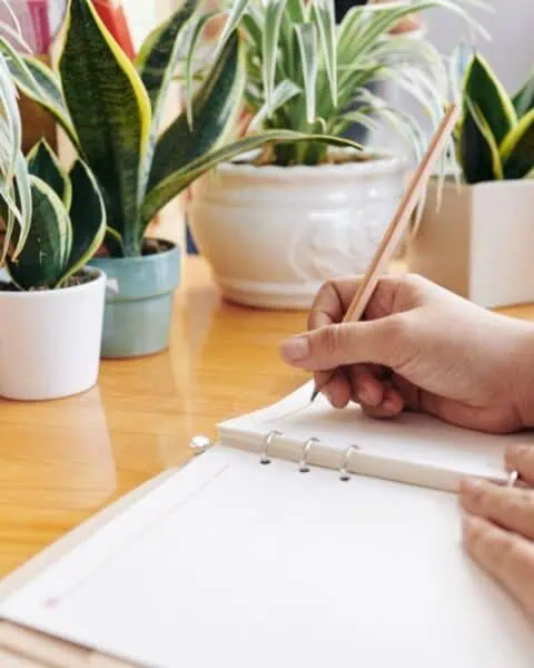 Amidst the lush greenery of potted plants, someone diligently crafts a 30-day meal plan rotation in their notebook, turning a wooden desk into a hub of culinary creativity.