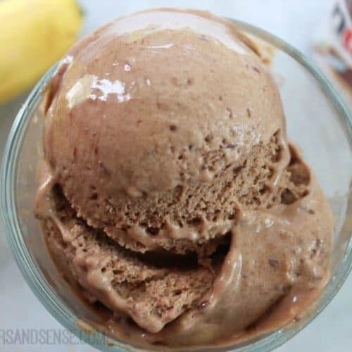 Banana Nutella Ice Cream Recipe - Saving Dollars &amp; Sense