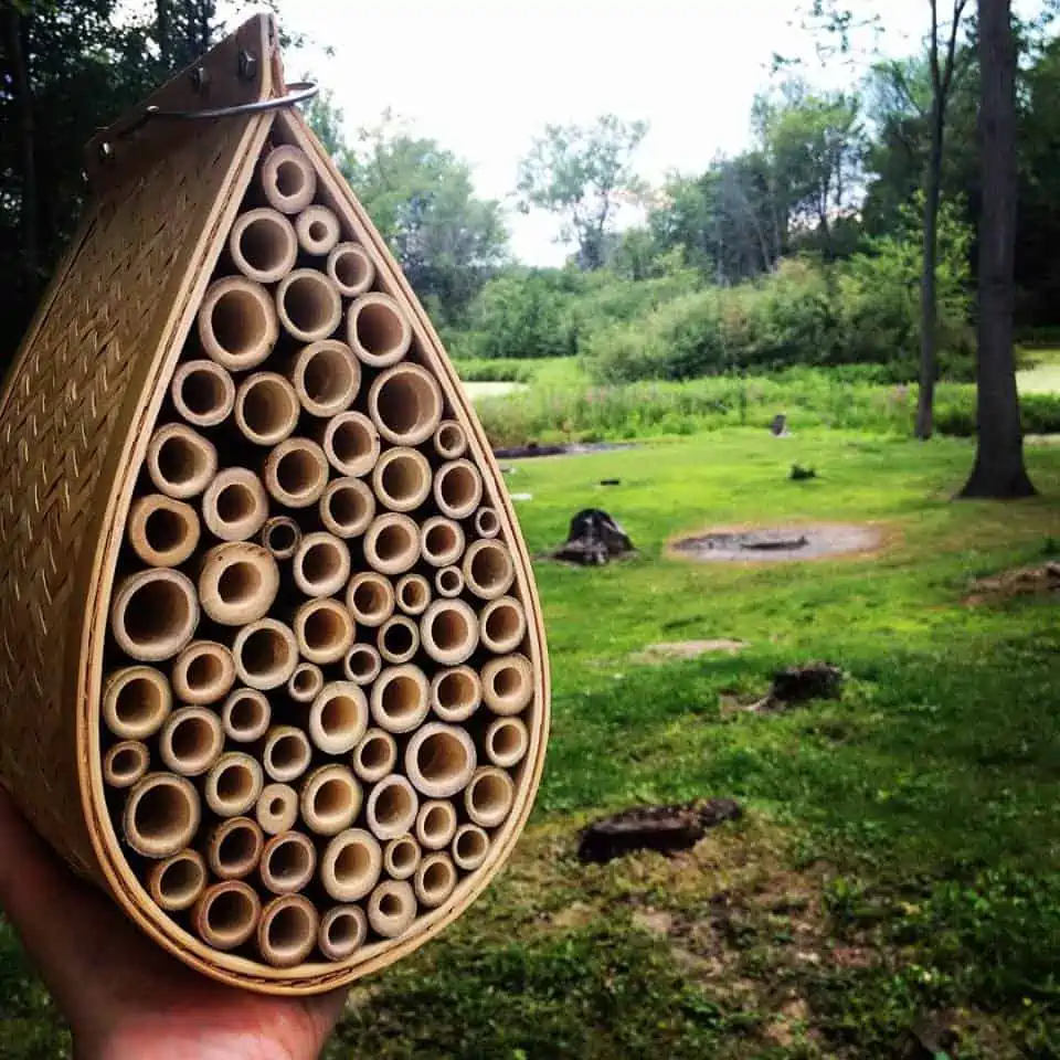 How to Make a Bee House and Habitat