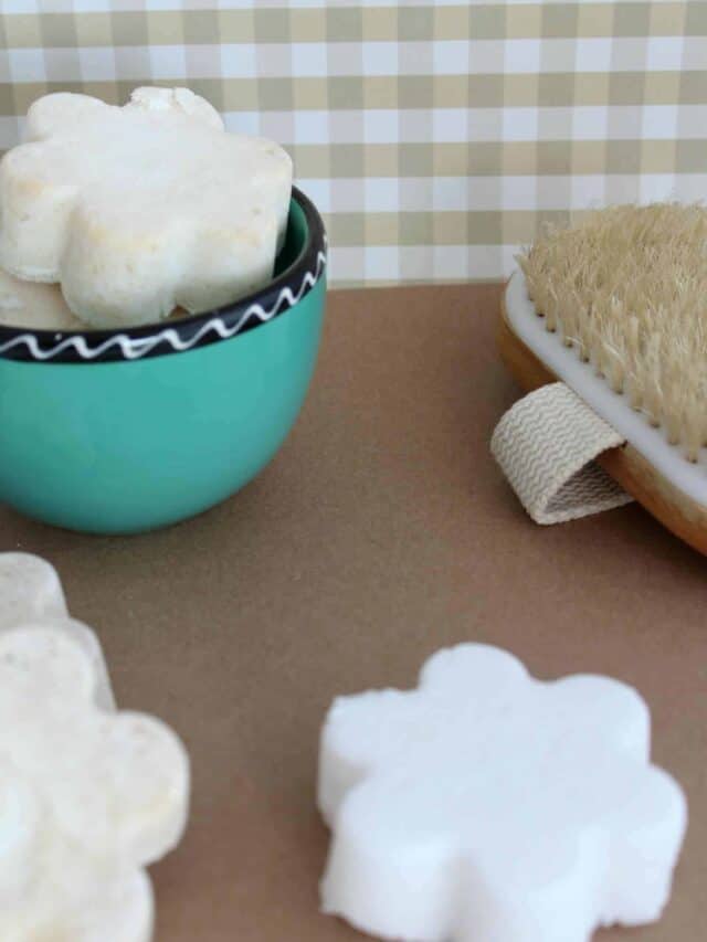 Homemade Vapor Shower Disks Story Saving Dollars & Sense