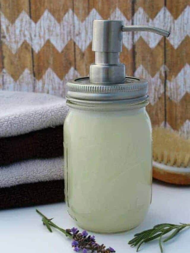 Homemade Liquid Hand Soap Story