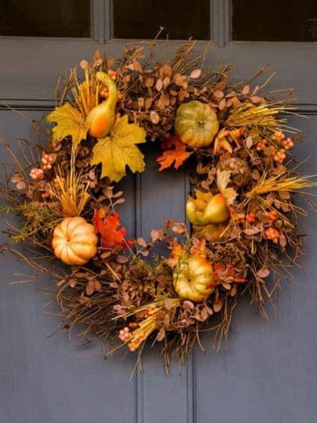 Easy Ways To Save Money This Fall Story