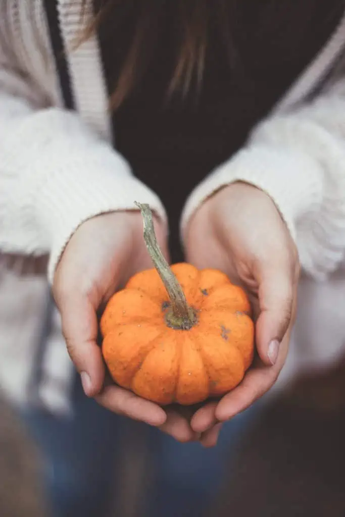 A woman holding a small pumpkin in her hands.