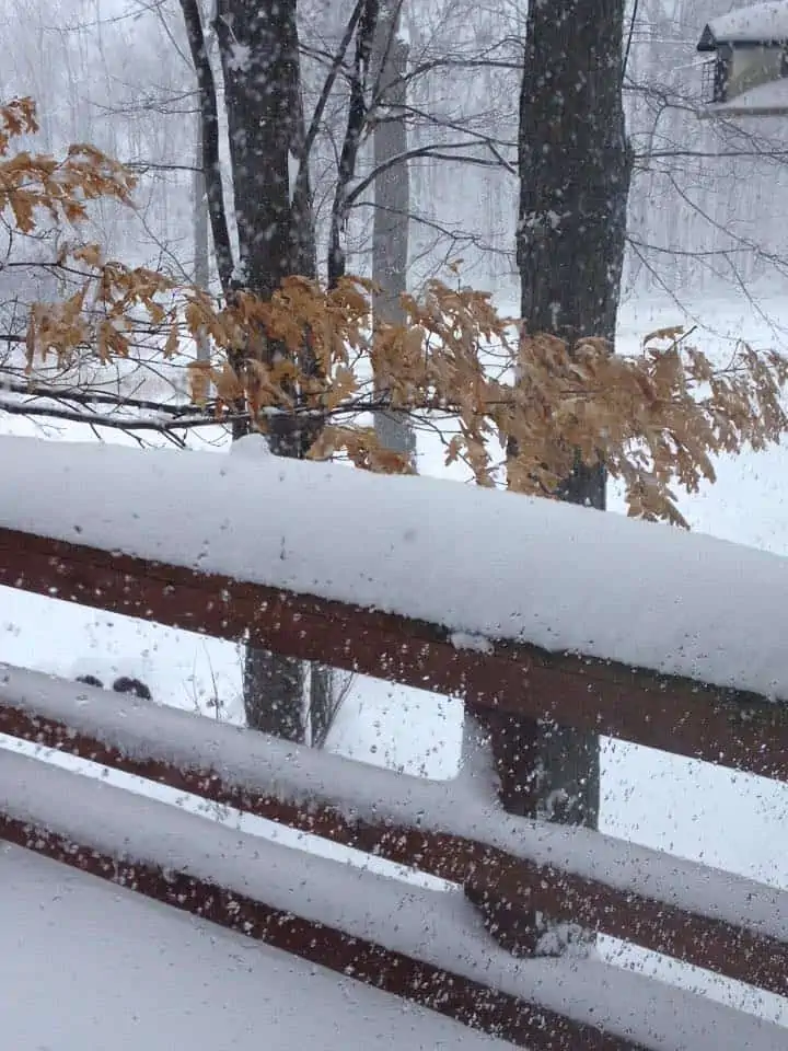 A rail covered in snow.