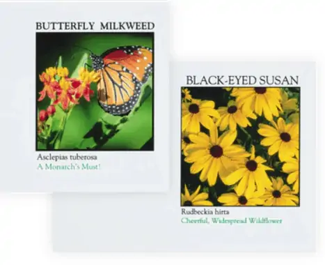 Flower Seed packets