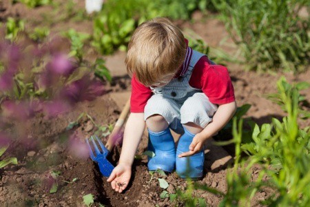 Small child planting seeds in the garden.