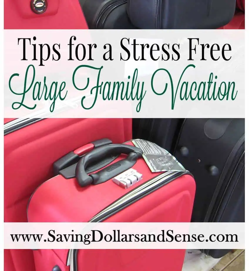 Tips for a Stress Free Large Family Vacation 