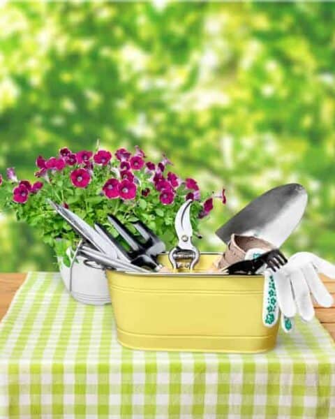 Where to Find Free Gardening Resources