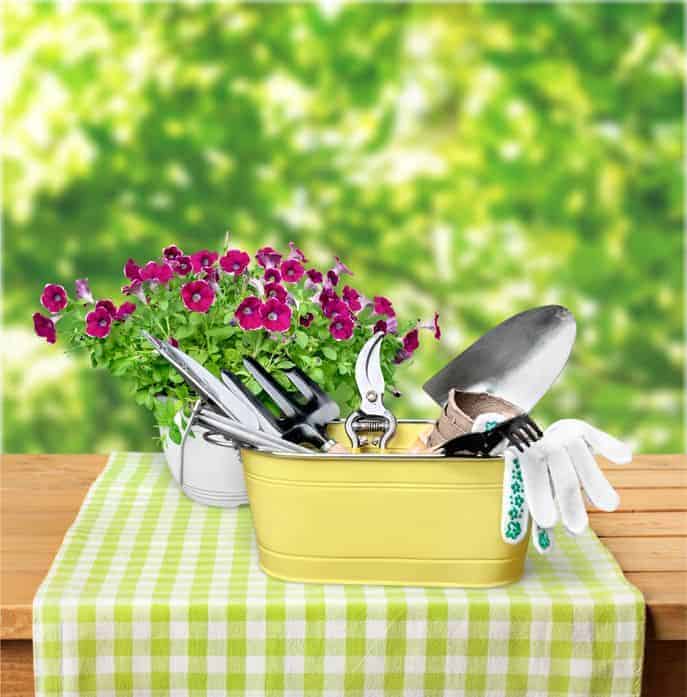 Where to Find Free Gardening Resources
