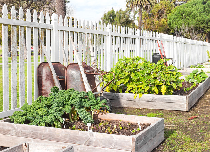 How to Build Raised Vegetable Garden Beds - Saving Dollars & Sense