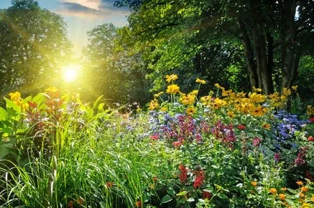 Gardens You Can Grow to Combat Stress