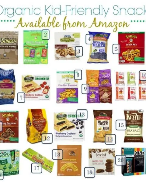 Ideas of Organic kid friendly snacks to buy on Amazon.