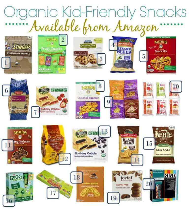 Ideas of Organic kid friendly snacks to buy on Amazon.